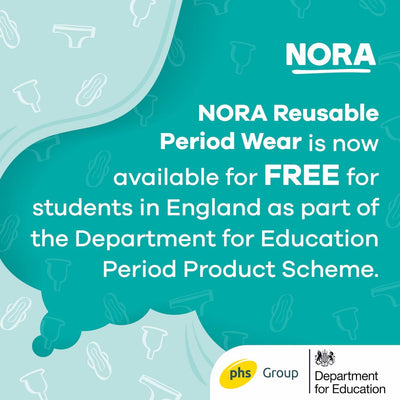 Free Reusable Period Pads In Schools